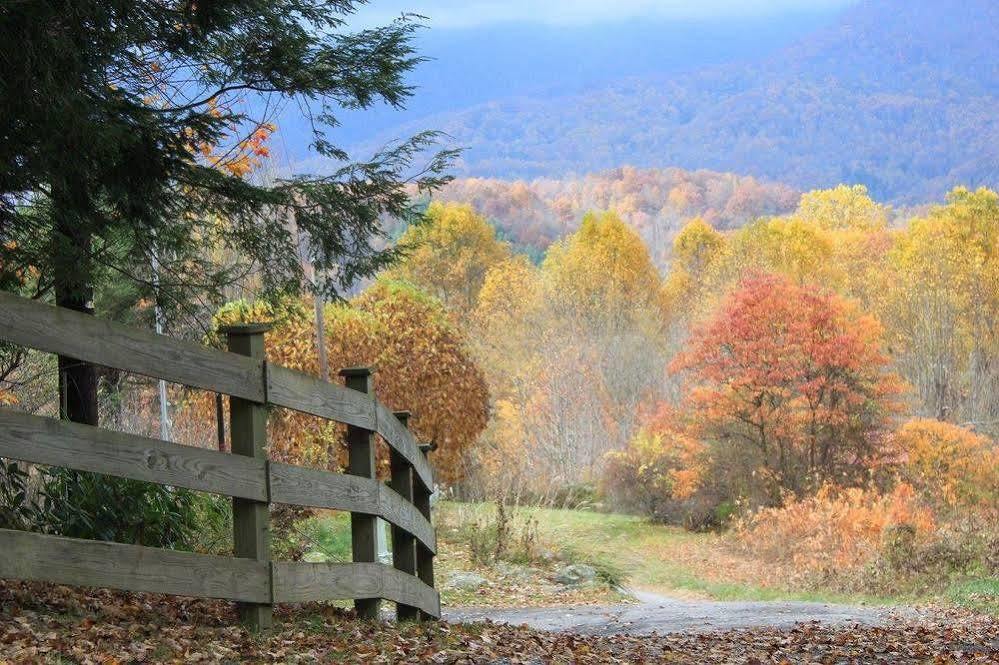 The Yellow House On Plott Creek Waynesville Bagian luar foto